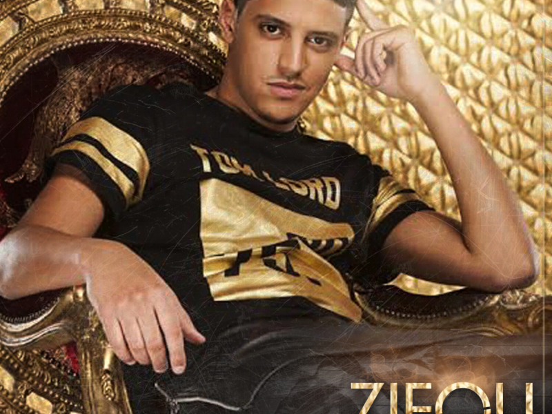 Tout est plíe (Single)