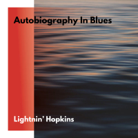 Autobiography In Blues