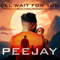 Ndichakumirira ( I'll Wait For You ) (Single)