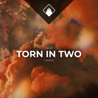 Torn In Two (feat. Fabriq) (Single)