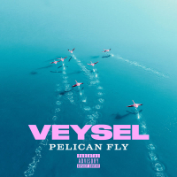 PELICAN FLY (Single)