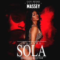 No Anda Sola (Single)