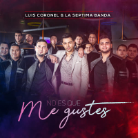 No Es Que Me Gustes (Single)