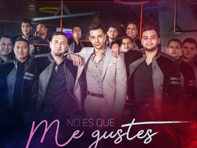 No Es Que Me Gustes (Single)