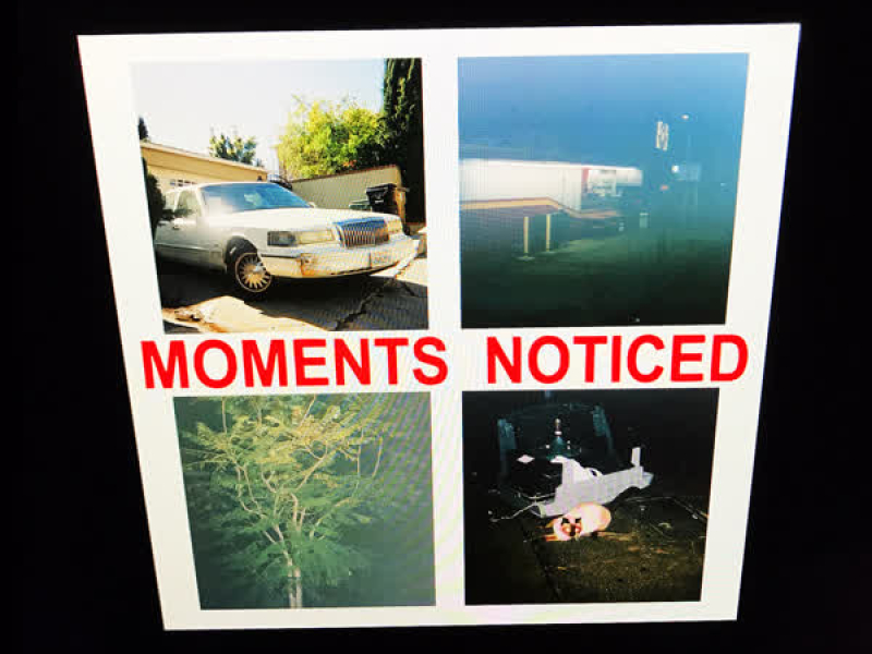 Moments Noticed (Single)