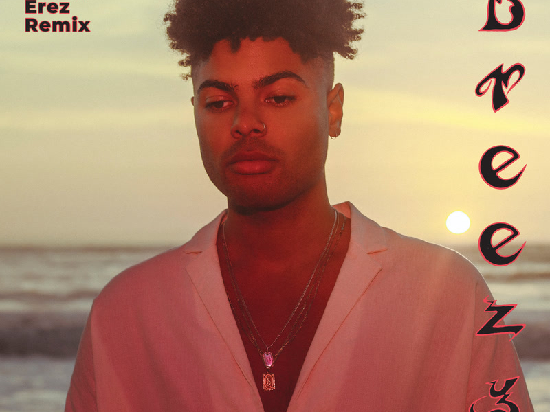 Breezy (Rousso & Noga Erez Remix) (Single)