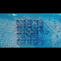 Mind Like a Maze (Single)