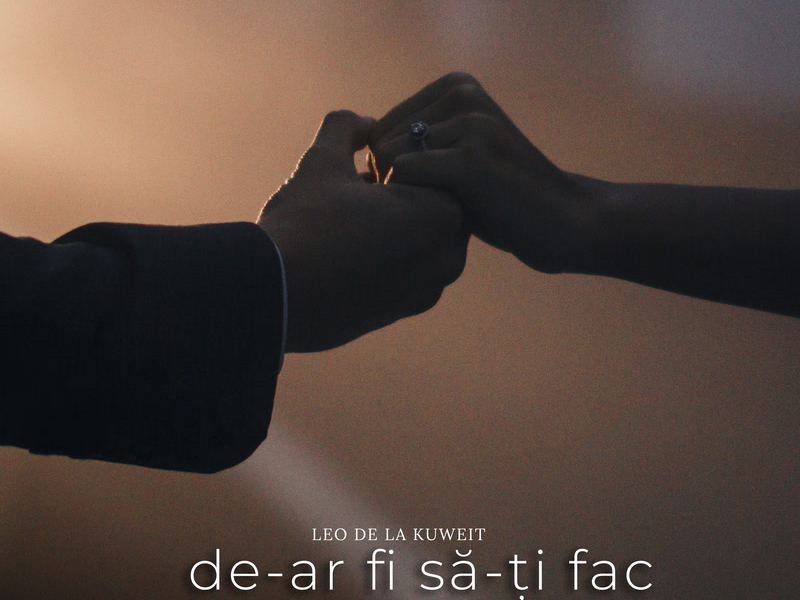 De-ar fi să-ți fac un portret (Single)