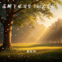 花瓣飞 眼泪坠 (DJ沈念版) (Single)