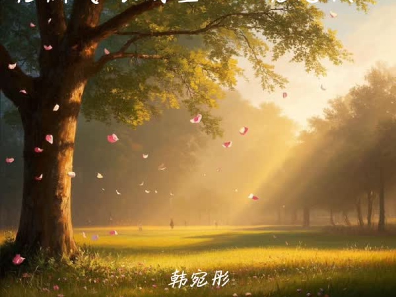 花瓣飞 眼泪坠 (DJ沈念版) (Single)