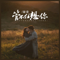 管不住想你 (Single)