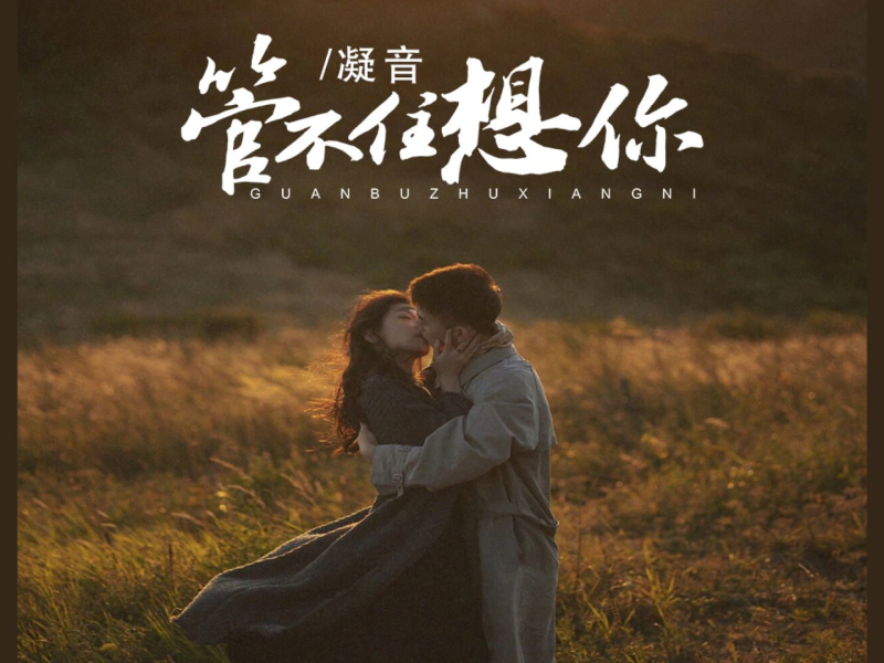 管不住想你 (Single)