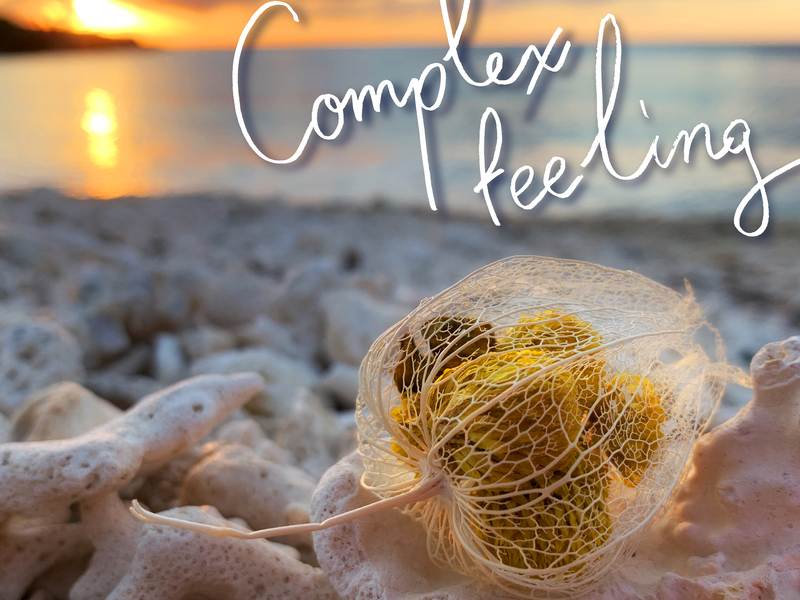 Complex Feeling (Single)