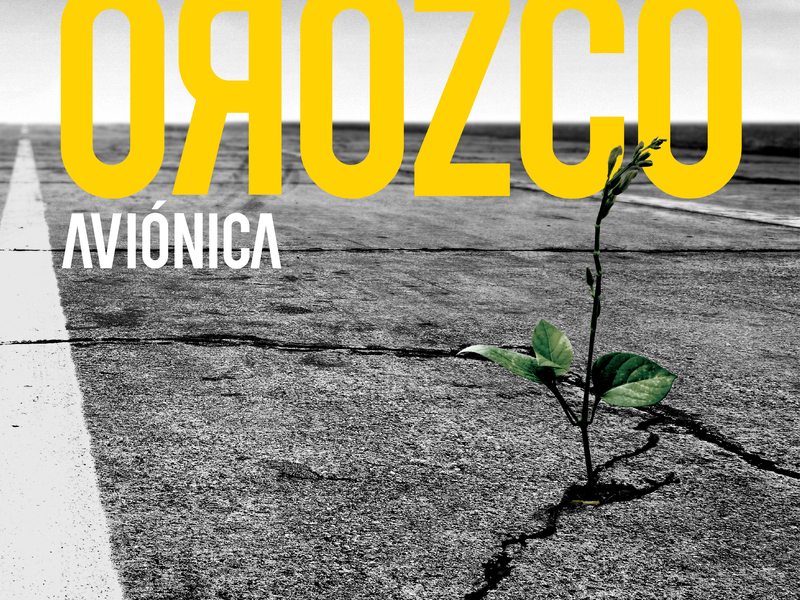 Avíonica
