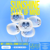 Sunshine State Of Mind (Single)