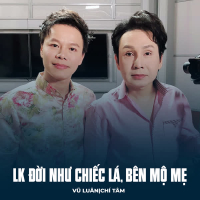 LK Đời Như Chiếc Lá, Bên Mộ Mẹ (Single)