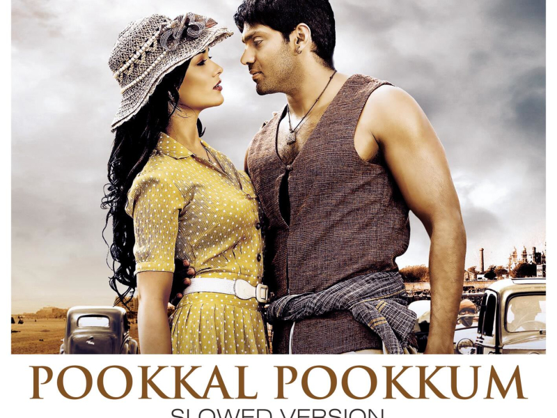 Pookkal Pookkum (Slowed Version) (Single)