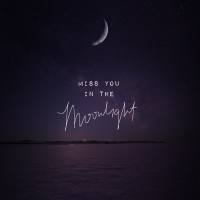 Miss You in the Moonlight (Single)