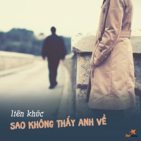 Liên Khúc Sao Không Thấy Anh Về (Single)