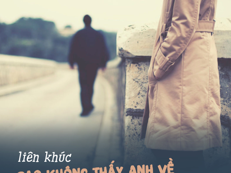 Liên Khúc Sao Không Thấy Anh Về (Single)