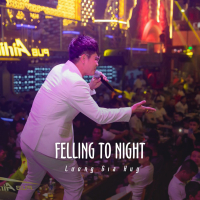 Felling To Night (Ytmix) (Single)