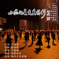 小区的夏夜真精彩 (EP)