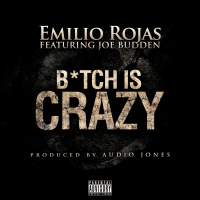 B*tch is Crazy (feat. Joe Budden)