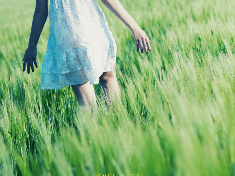 Summer Coming Back Again (Single)