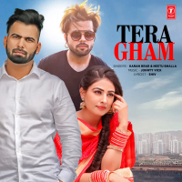 Tera Gham (Single)