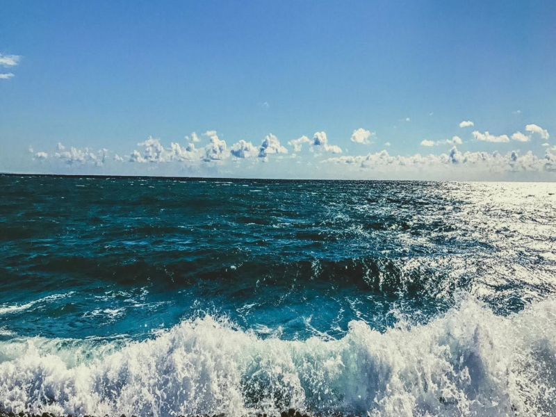 Somewhere in the Sea (Single)