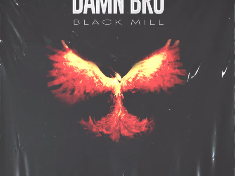 DAMN BRO (Single)