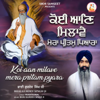 Koi Aan Milave Mera Pritam Pyara (Single)
