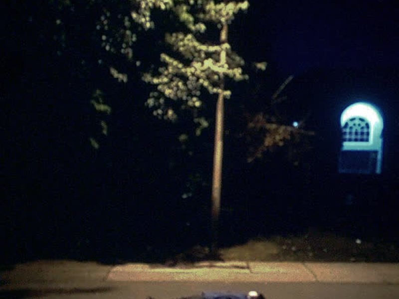 Everybody's dead! (Single)