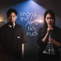 Không Thể Ngưng Tiếc Nuối (Single)