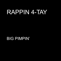 Big Pimpin' - Single