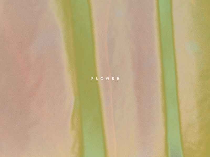 FLOWER (Single)