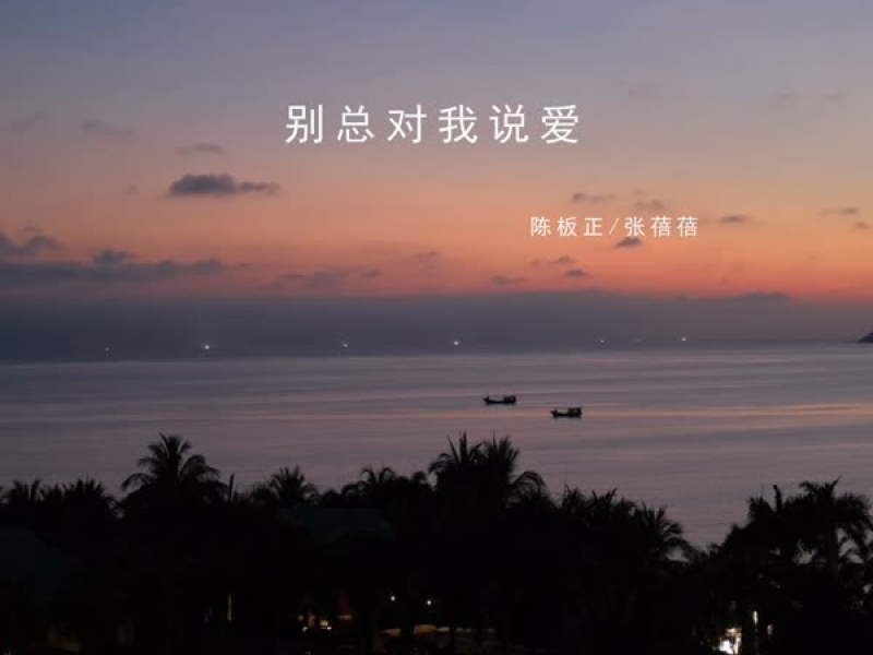 别总对我说爱 (Single)