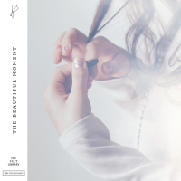 The Beautiful Moment (Single)
