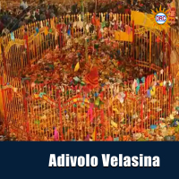 Adivolo Velasina (Single)