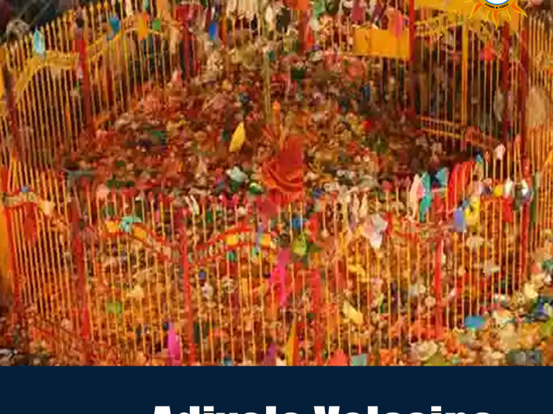 Adivolo Velasina (Single)