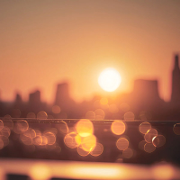 Seasonal Transition (Single)