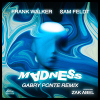 Madness (Gabry Ponte Remix) (Single)