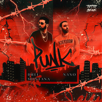 Punk (Single)