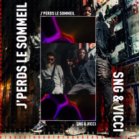 J'Perds Le Sommeil (Single)