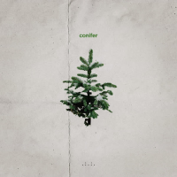 Conifer (Single)