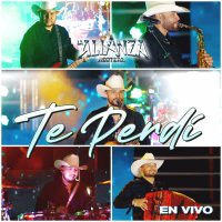 Te Perdí (En Vivo) (Single)
