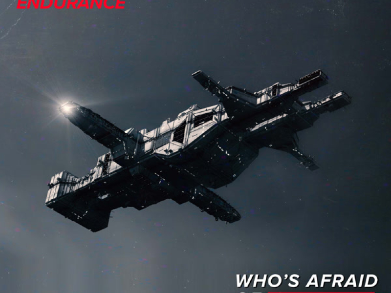 Endurance (Single)
