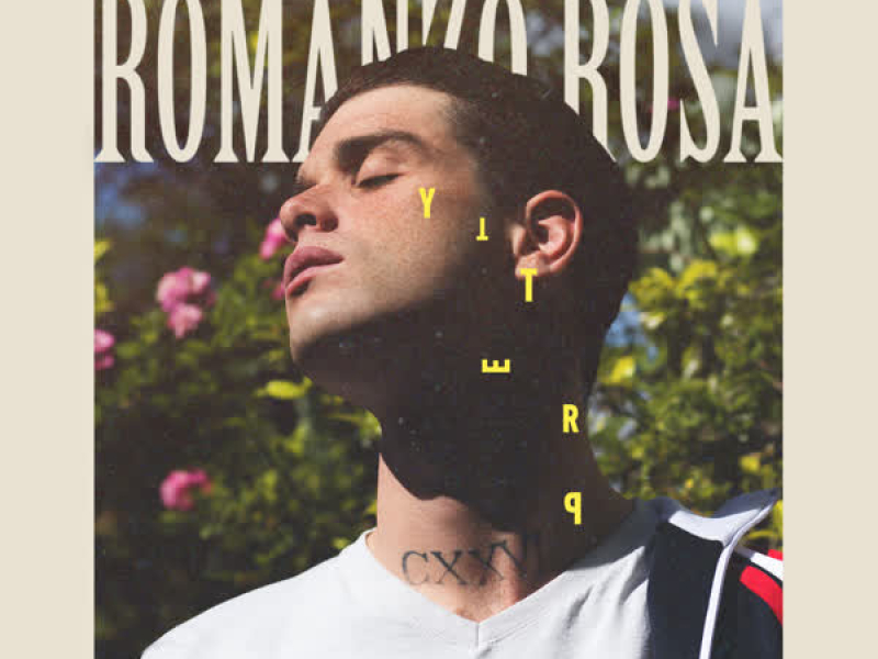 Romanzo Rosa