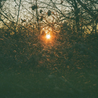 Tøbrud (Lauge Rework) (EP)