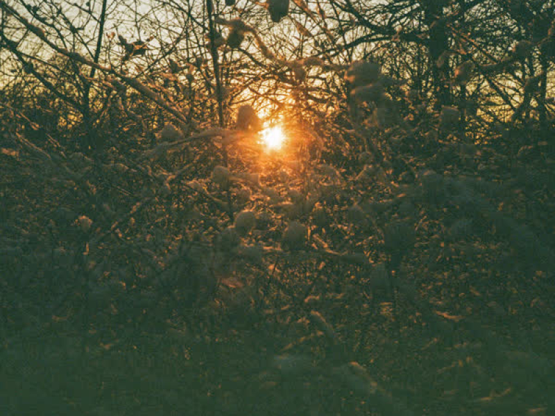 Tøbrud (Lauge Rework) (EP)